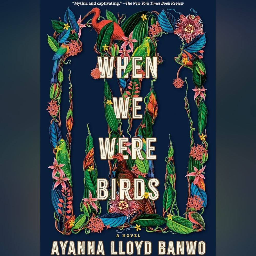📚 When We Were Birds